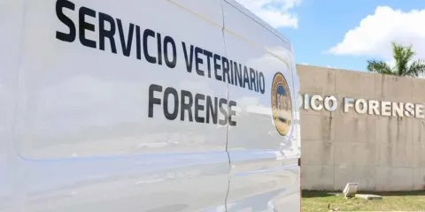 Puebla contaría con Semefo Veterinario para castigar el maltrato animal
