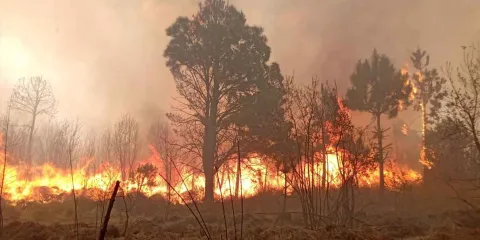 31 incendios forestales en 13 municipios de Puebla; Tlachichuca el más afectado