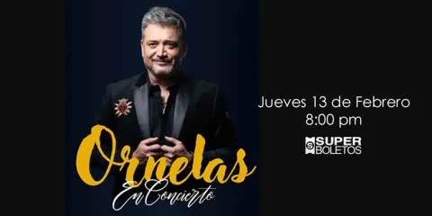 Raúl Ornelas en concierto