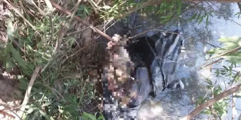 Hallazgo macabro en Yehualtepec: encuentran cabeza y torso humano