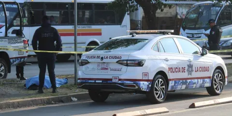 Encuentran cadáver en camellón del bulevar Norte; investigan posible atropellamiento