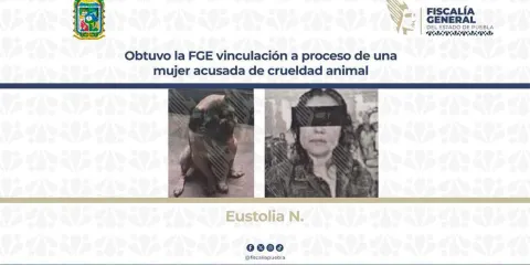 Mujer vinculada a proceso por golpear a perro anciano en Puebla