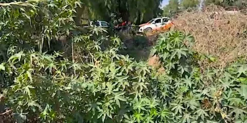Hallan osamenta en campos de Tecamachalco