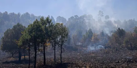 Atacan por aire y tierra incendios forestales en Chiconcuatla y Zacatlán