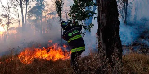 Hasta 10 años de cárcel a quien provoque los incendios forestales en Puebla