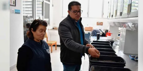 Investigadora del ICUAP estudia el comportamiento biológico de la plaga conocida como “gallina ciega” para su control