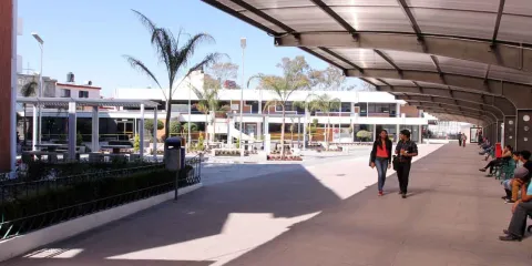 Licenciatura en Contaduría Pública de la BUAP entre los 10 mejores planes de estudio del país