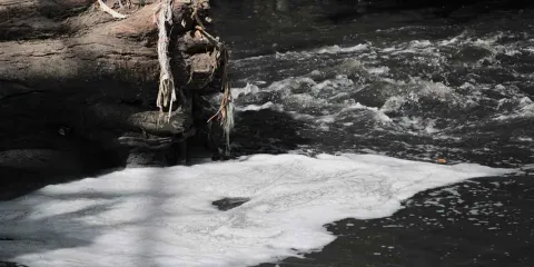 Puebla en el Foco: Seguridad, protestas y retos sociales