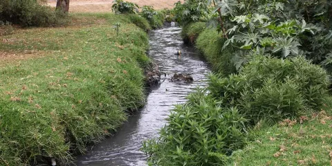 Huejotzingo regularizará empresas que contaminan el río Atoyac; habrá sanciones