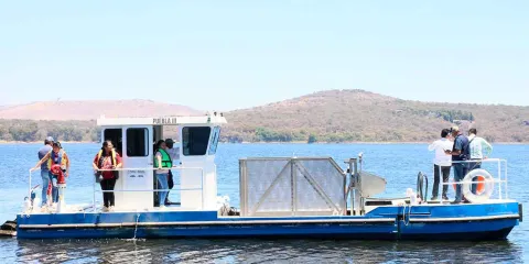 Lirio del Lago de Valsequillo se transformará en fertilizantes con proyecto Fertipue