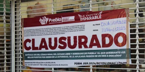 Comerciantes establecidos avalan combate y cierre de tiendas con productos ilegales