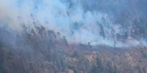 Por aire y tierra se combaten incendios forestales en Puebla