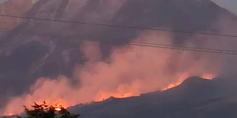 Doble incendio forestal, en Serdán y San Nicolás Buenos Aires 