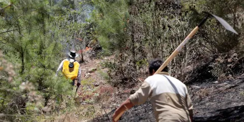 Sin detenidos por incendio forestal en Acajete