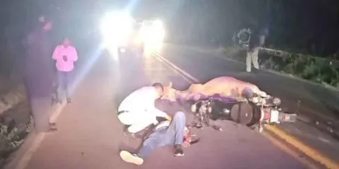 Motociclista fracturado tras impactar vaca en carretera Pachuca-Tuxpan