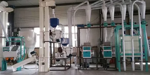 Puebla tendrá planta procesadora de harina de maíz y mayor producción de frijol