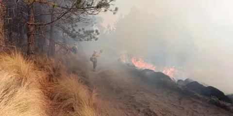 Voraces incendios calcinaron el bosque poblano