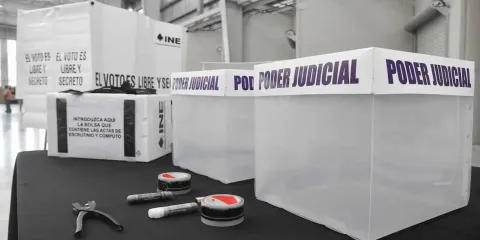 Desconocimiento provocará baja participación en elección judicial: COE