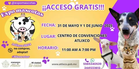 Atlixco abre sus puertas a Expo Mascotas 2025: Un evento gratuito