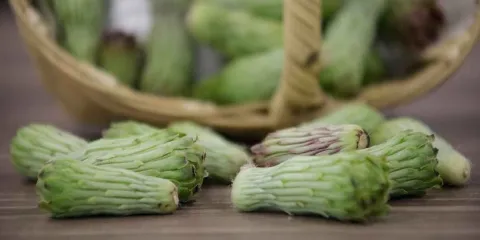 100 platillos y ecoturismo en el Festival de la Tetecha en Puebla