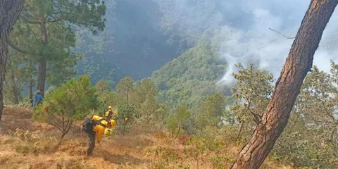 Dos incendios activos en Puebla: Zacatlán casi controlado, Xicotepec persiste