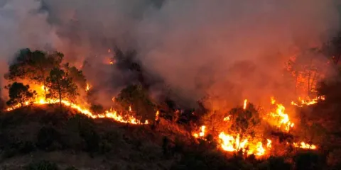 Conafor, incendios forestales en Puebla, pérdidas arboladas, Guardia Forestal, Coordinación General de Protección Civil 