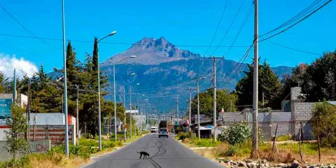 Solicitan consulta pública sobre el proyecto Ecoparque de La Malinche
