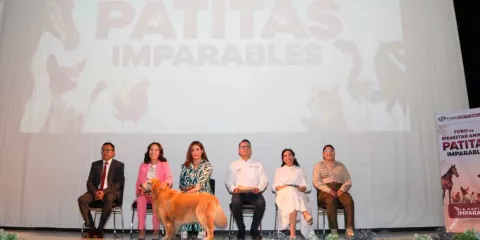 Por el bienestar animal el Gobierno de la Ciudad realizó el foro participativo "Patitas Imparables"