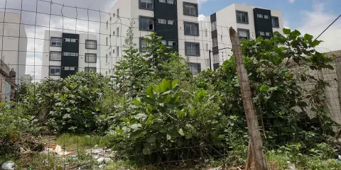 Alertan sobre aumento de fraudes inmobiliarios en Puebla