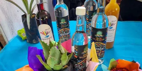 Atlixco celebra con sabor y cultura la Feria del Mezcal y el Pulque 2025