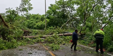 Lluvias por Erick causan derrumbes y afectaciones en Puebla