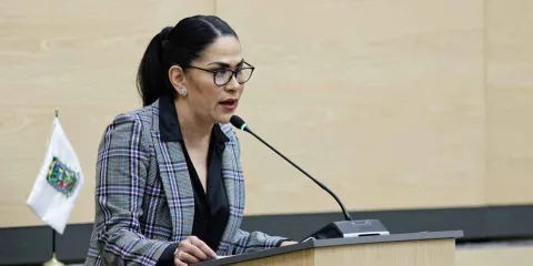 Movimiento Ciudadano trae propuesta para mejorar artículo de ciberasedio