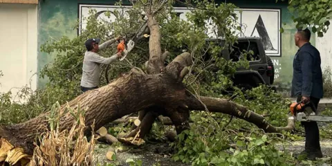 Ocho municipios presentaron daños por lluvias este fin de semana