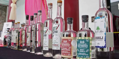 Red de Mezcaleros impulsa el mezcal artesanal poblano a nivel internacional
