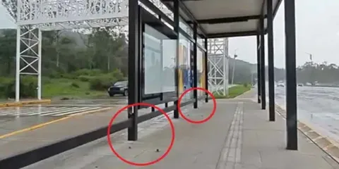 Se registra el primer robo en instalaciones de la Línea 4 RUTA