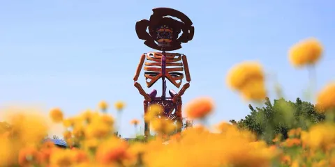 “Valle de Catrinas” de Atlixco despierta interés internacional y llegará a más ciudades de EU en 2025