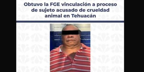 Vinculan a proceso a Jorge Oliverio “N” por muerte del perro “Capitán” en Tehuacán