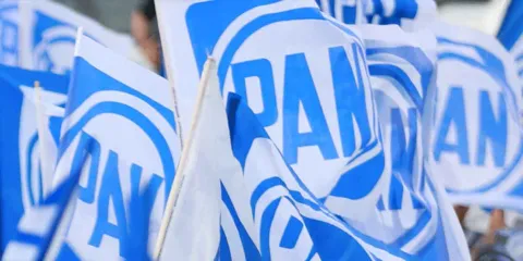 Ecologistas califican de "show mediático" lo que hizo el PAN contra el ciberasedio