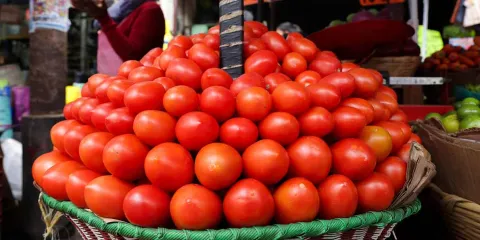 Puebla busca nuevos mercados para exportar tomate ante cuotas antidumping de EU