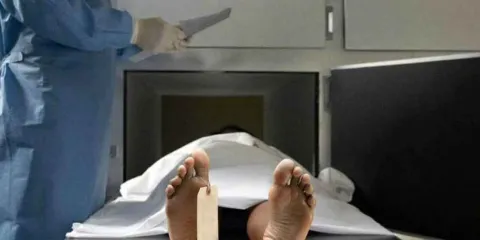 Fueron identificados 260 cuerpos almacenados en Semefo; 162 eran poblanos