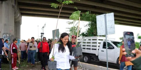 Limpieza y reforestación en la zona del puente Cantarranas, en Atlixco