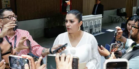 PRI: aún quedaron vacíos jurídicos en el artículo 480 del Ciberasedio 
