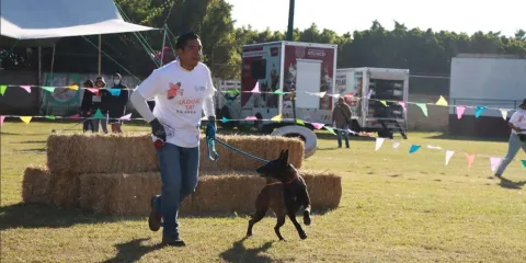 Atlixco impulsa bienestar animal con la carrera “Patitas Fugaces 2025”