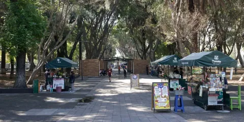El Paseo Bravo será entregado al Estado para que lo mantenga y rehabilite