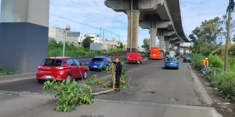 Bache provocó múltiples daños en autos en la autopista México–Puebla