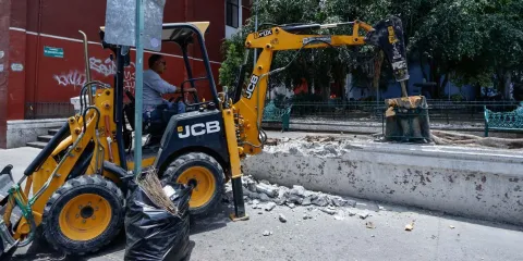 El programa Calle Viva, un programa improvisado que justifica la tala, acusan regidores