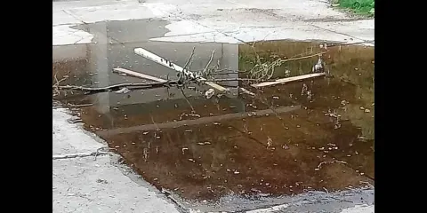 Atlixco inicia segunda jornada contra el dengue con eliminación de criaderos de mosquitos