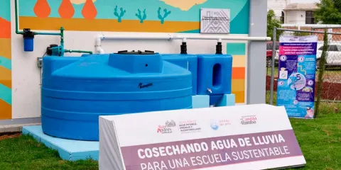 Promueve Lupita Cuautle conciencia ambiental en escuelas con mecanismos de captación de agua