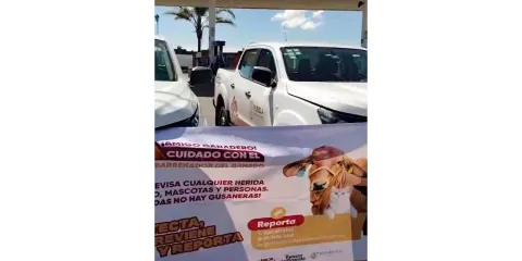 Puebla refuerza operativo sanitario en tianguis ganadero de Texmelucan
