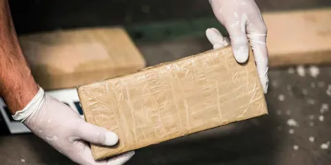 SSC Puebla incauta más de 200 kilos de droga y detiene a más de 4 mil personas